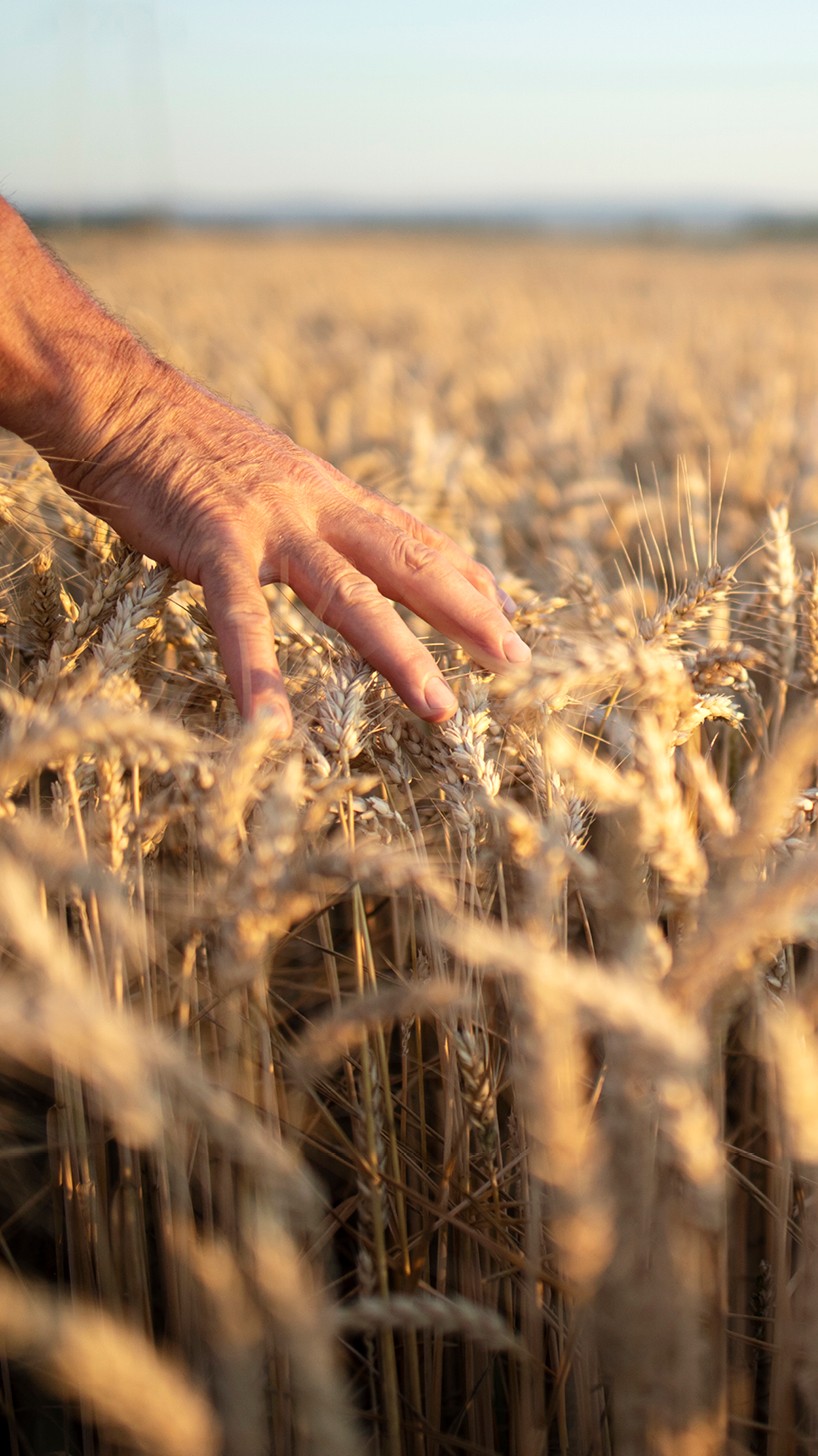 Ouvrier·ère agricole production végétale