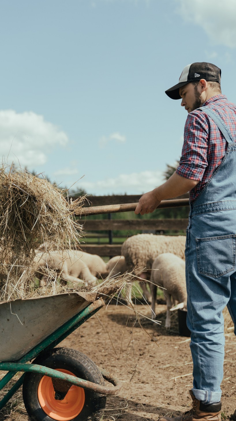 Responsable d'élevage agricole