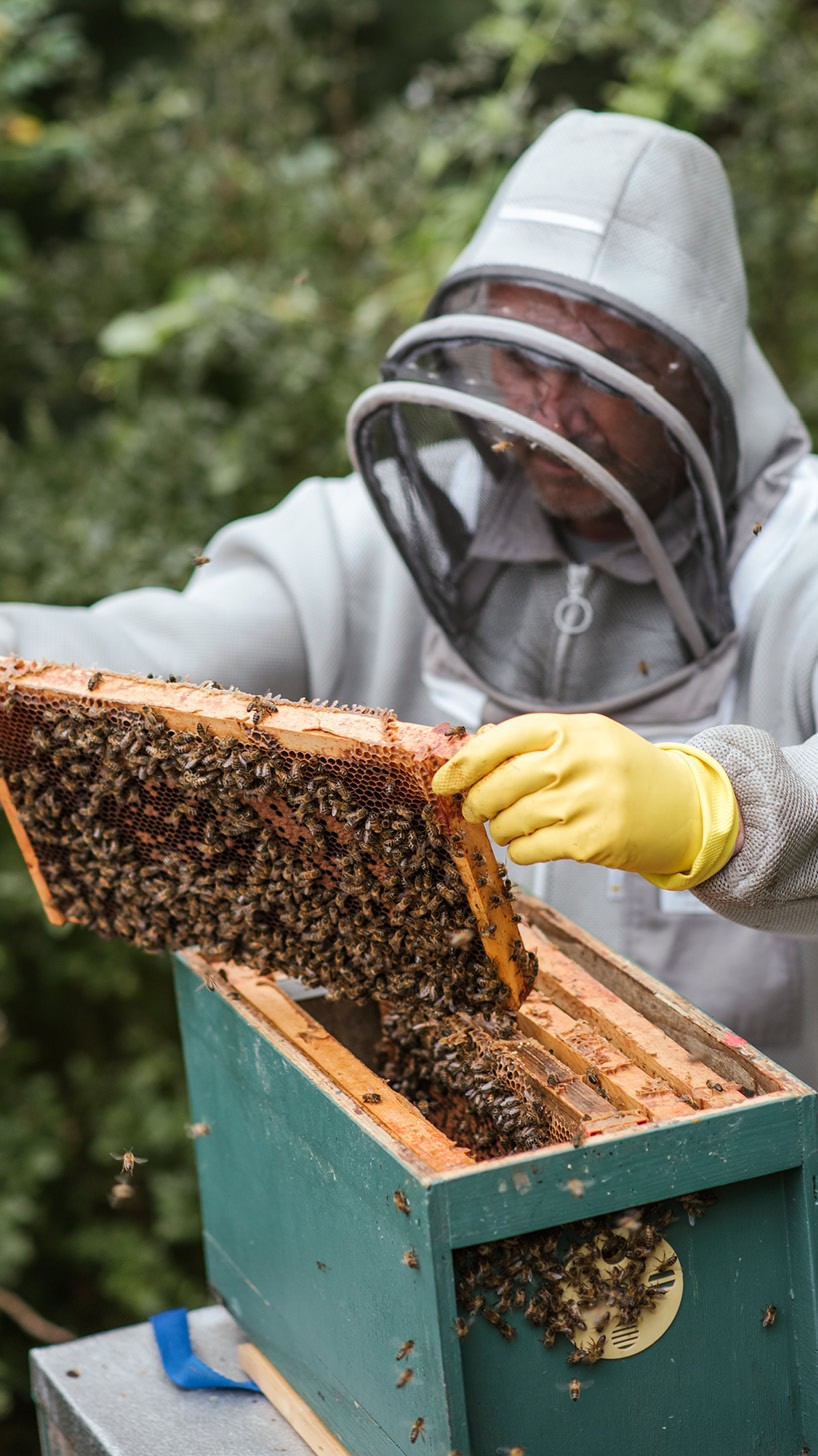 Apiculteur·rice