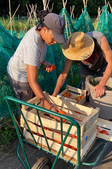 Moniteur·rice d’atelier