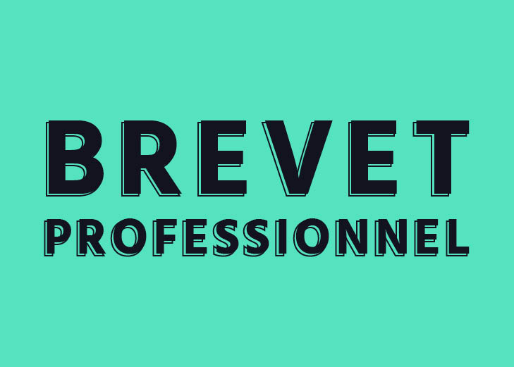 BP Arts du service et commercialisation en restauration