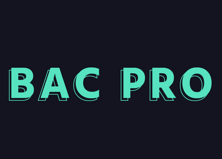 Bac Pro AGOrA : Assistance à la Gestion des Organisations et de leurs activités