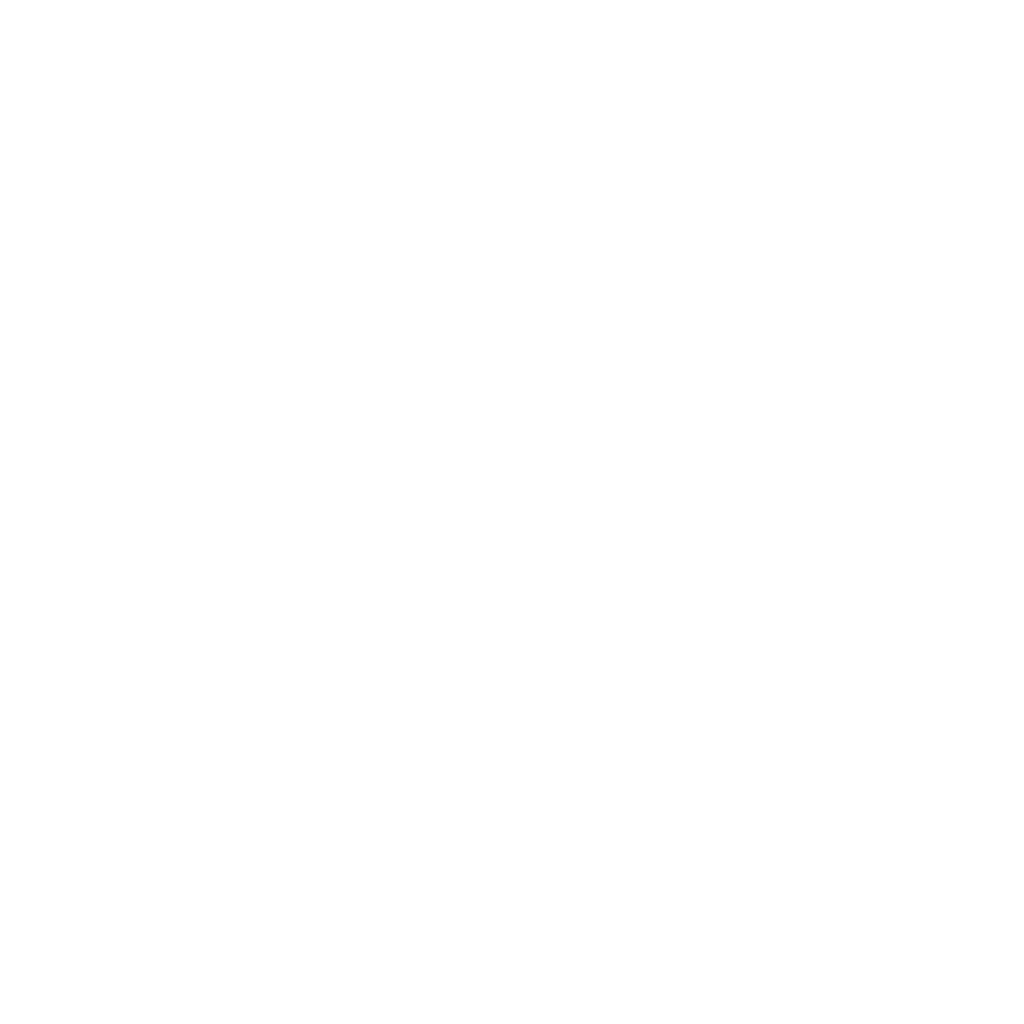ICN BUSINESS SCHOOL