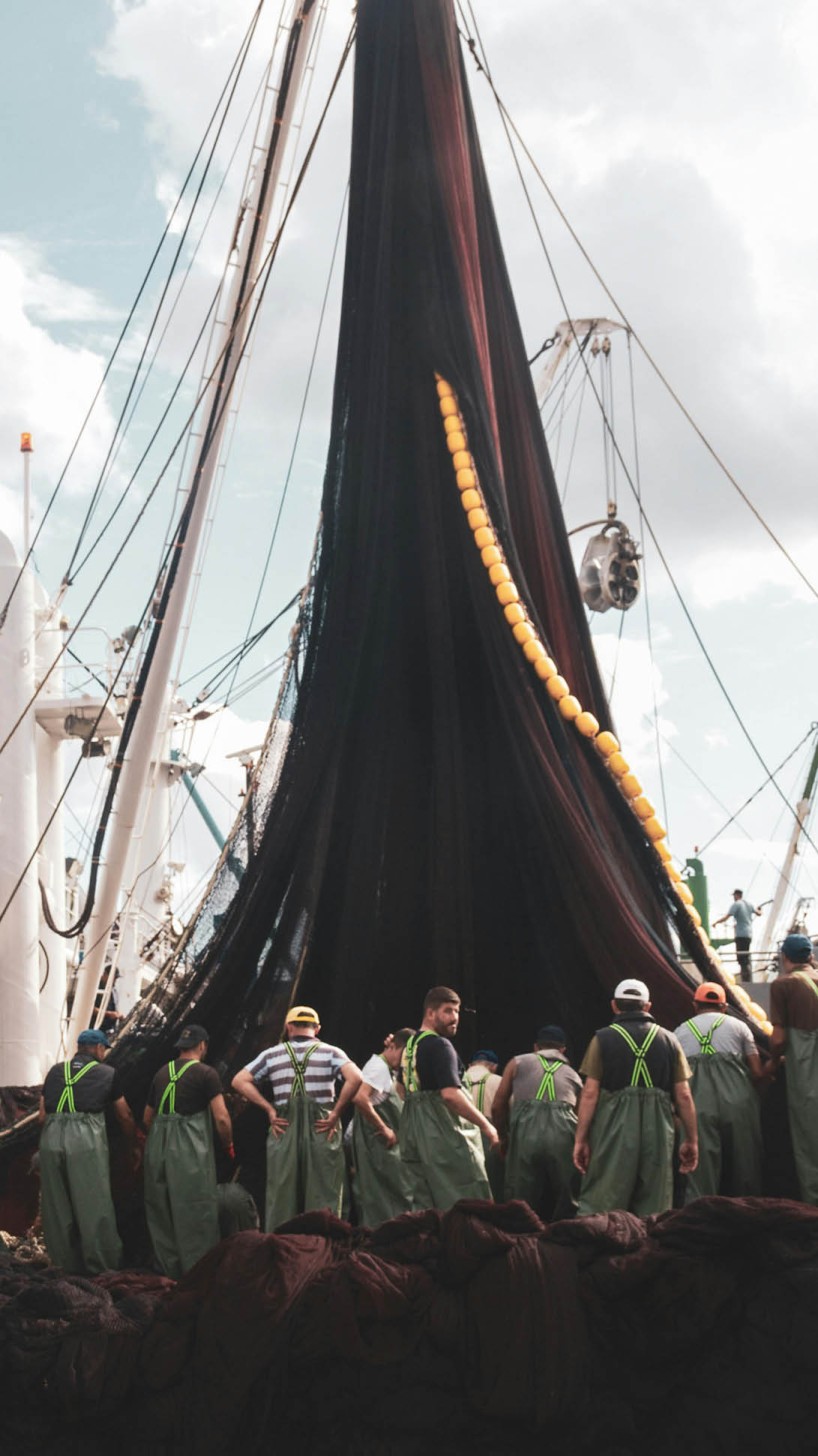 Matelot·e à la pêche