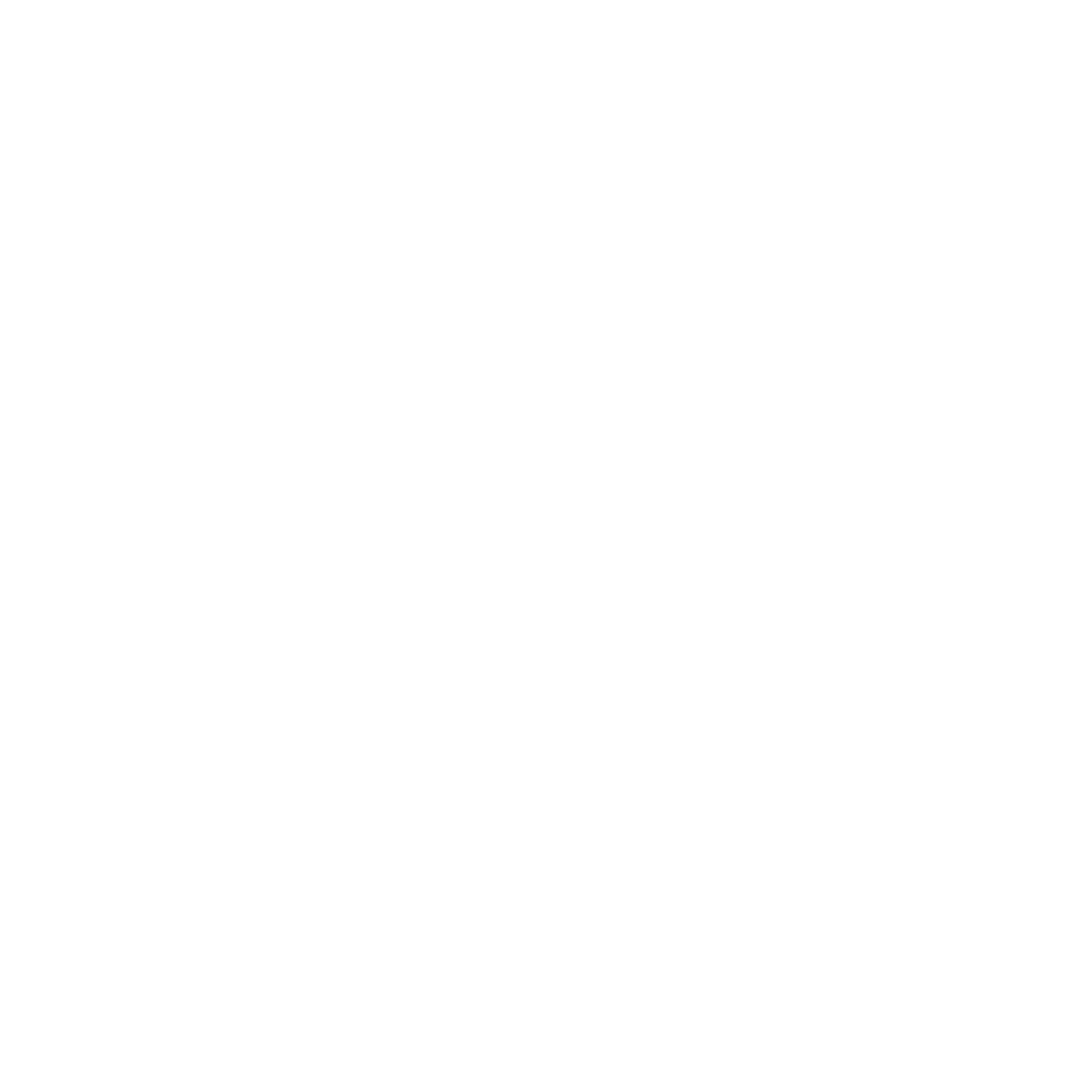 LYON YNOV CAMPUS
