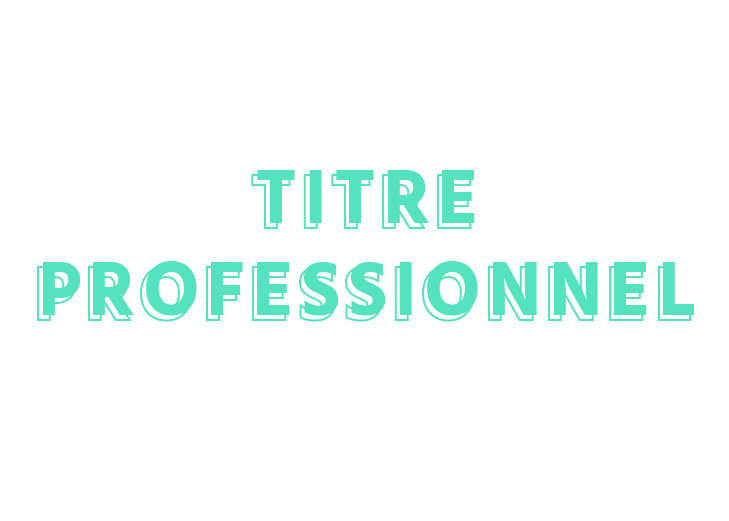Titre pro Animateur ESPORT