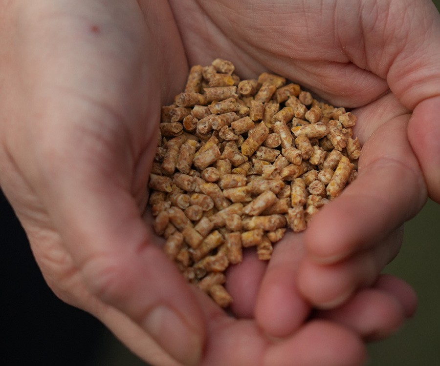 Formulateur·rice en alimentation animale - galerie 3