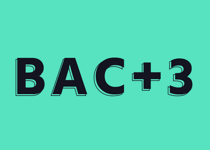 BAC+3 Chargé d’Affaires Commerciales – Spécialisation Activités Touristiques (CAC)