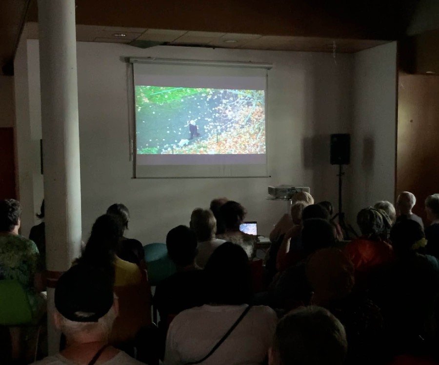 Consultant·e en concertation publique - galerie 2