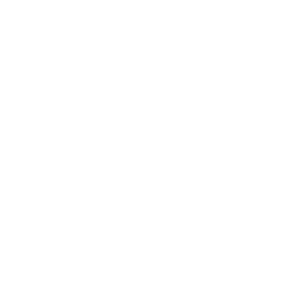 ANITI, Artificial and natural intelligence Toulouse institute