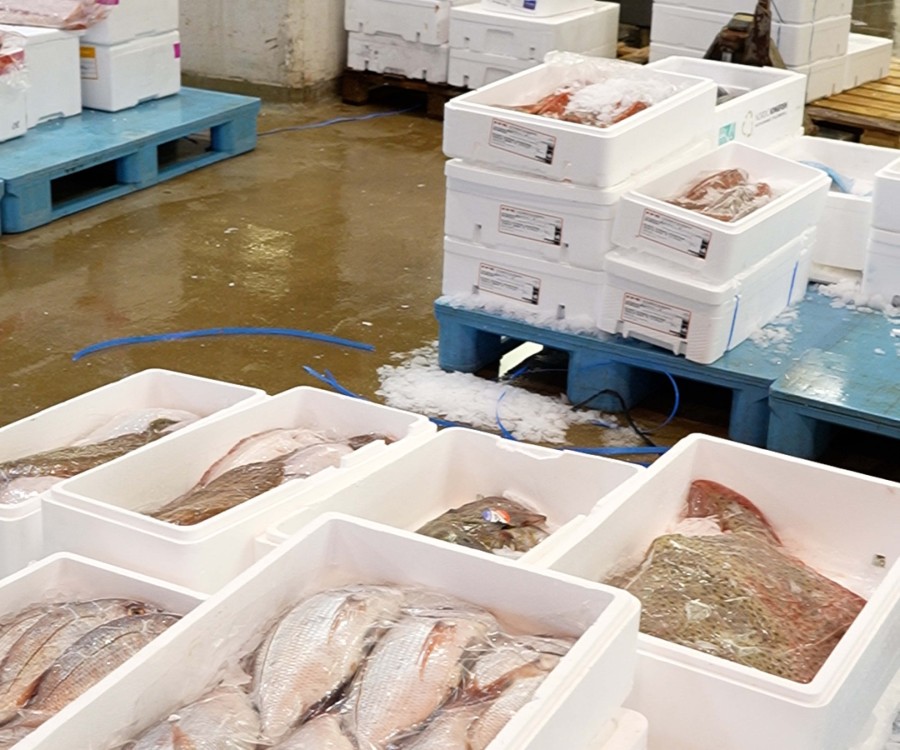 Poissonnier·ère-Ecailler·ère Traiteur·se - galerie 6